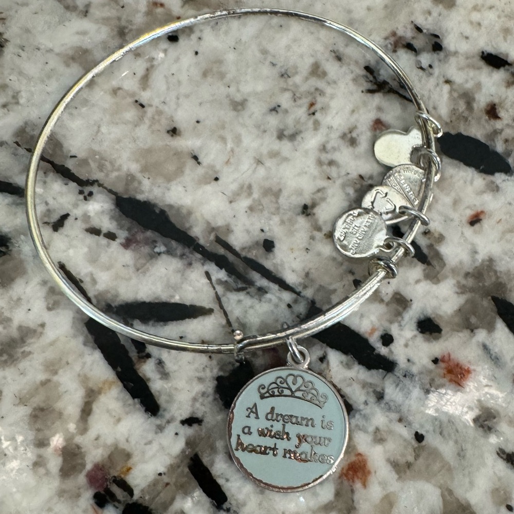Alex and Ani bracelet